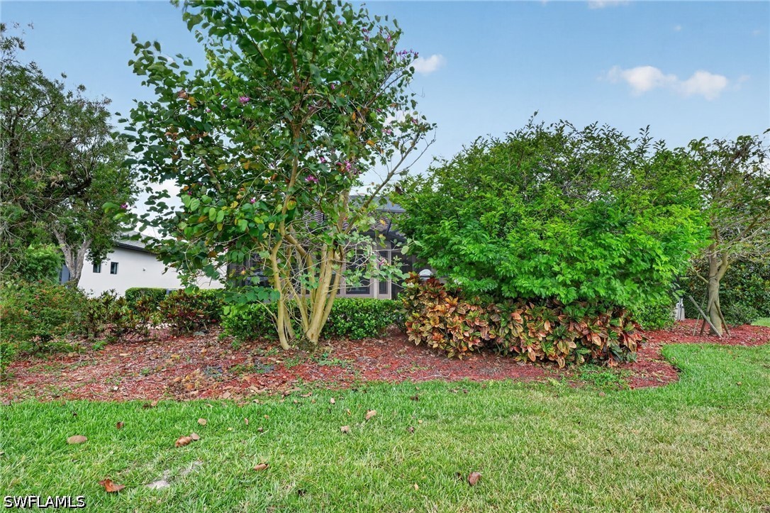 Yard