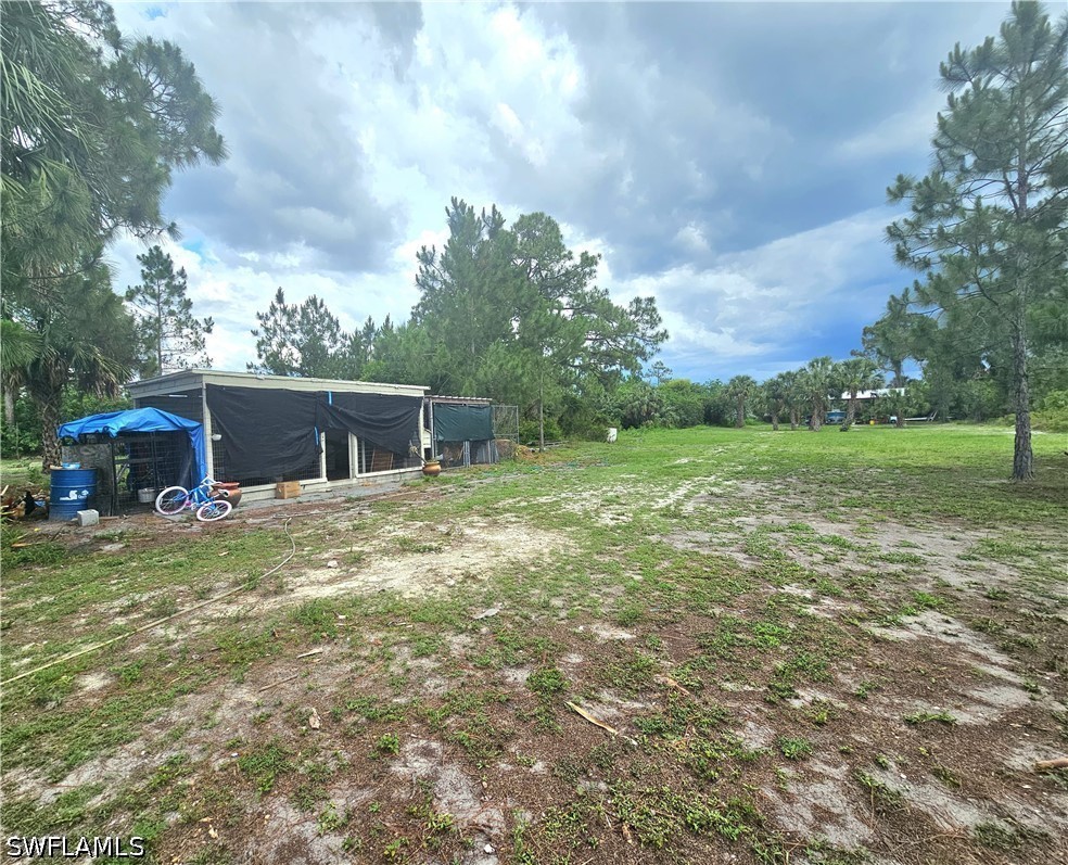 Yard