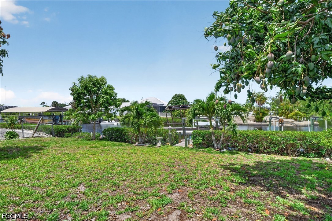Yard