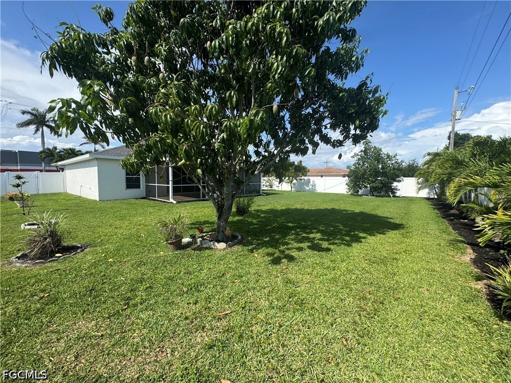 Yard