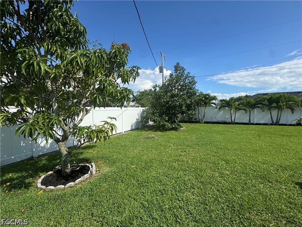 Yard