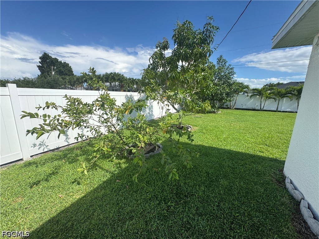 Yard