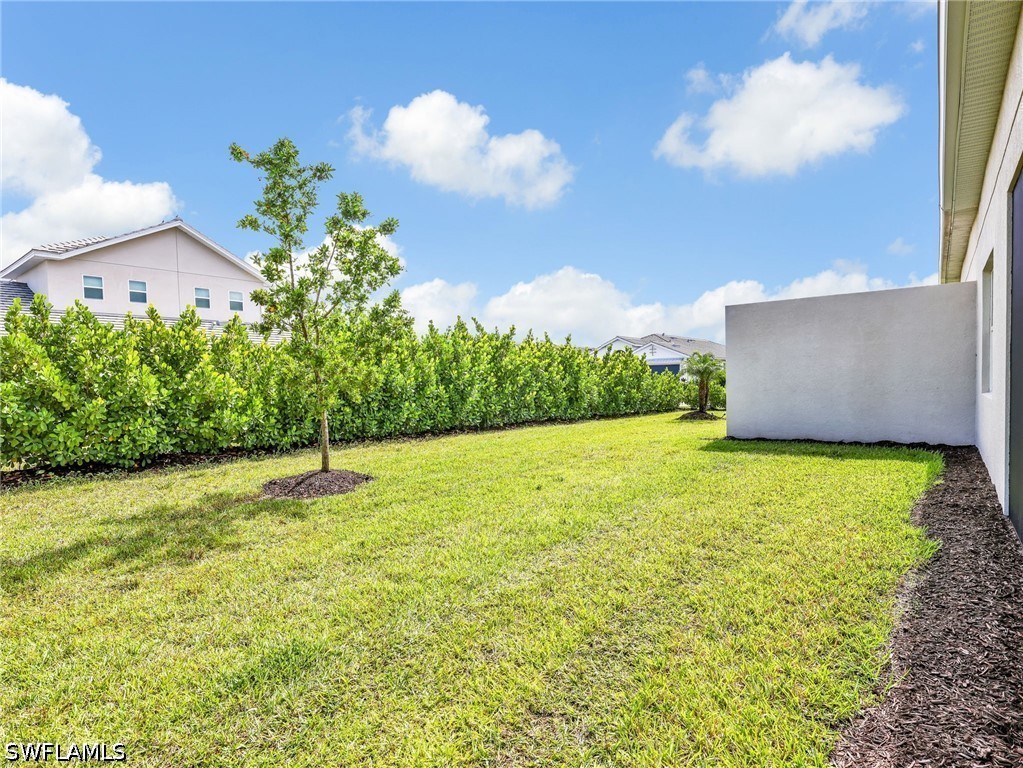 Yard