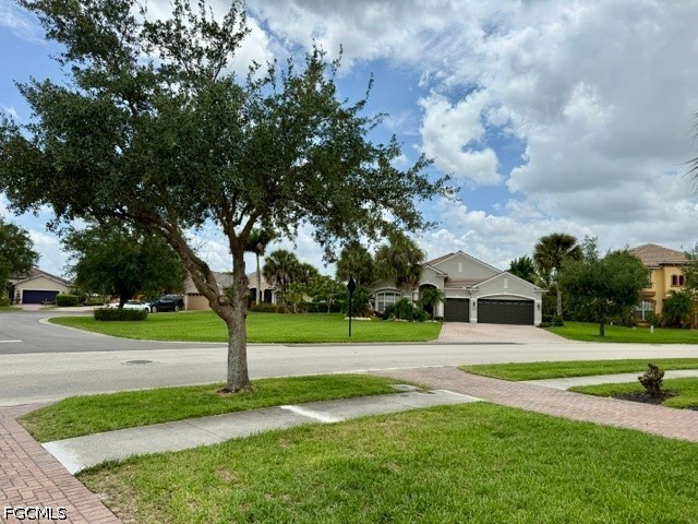 Yard