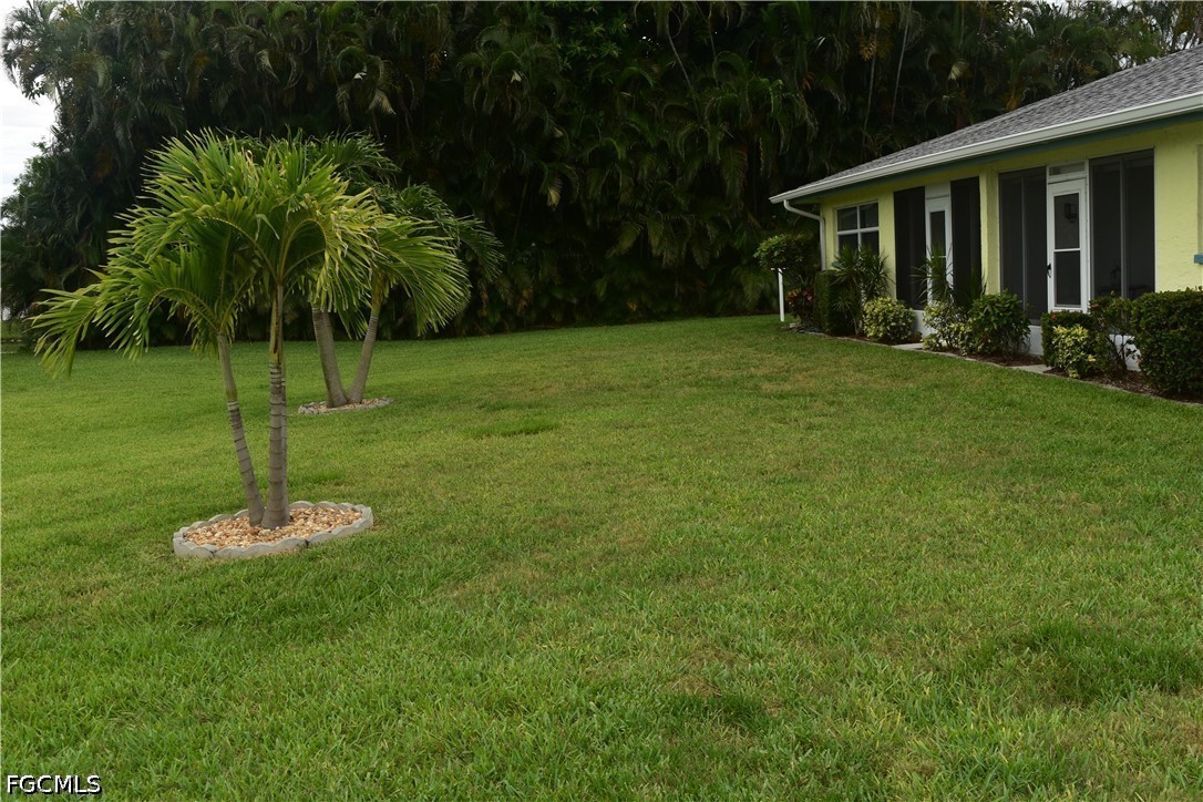 Yard
