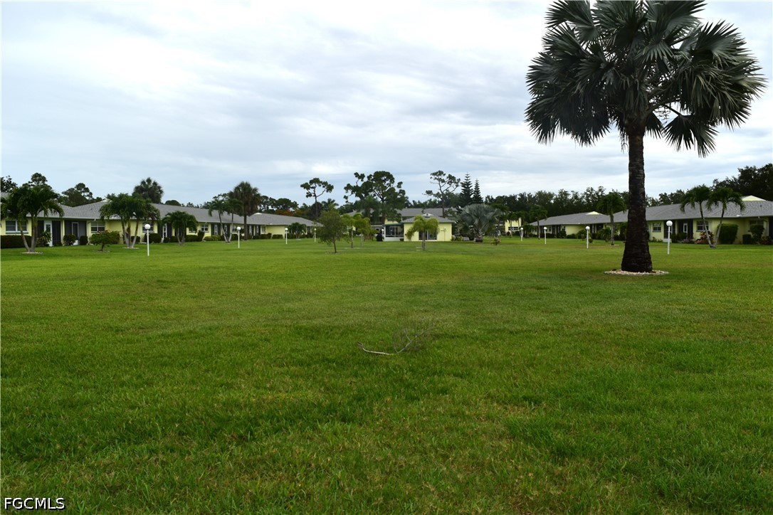 Yard