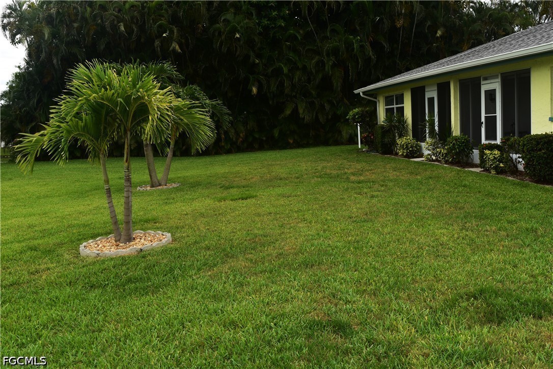 Yard