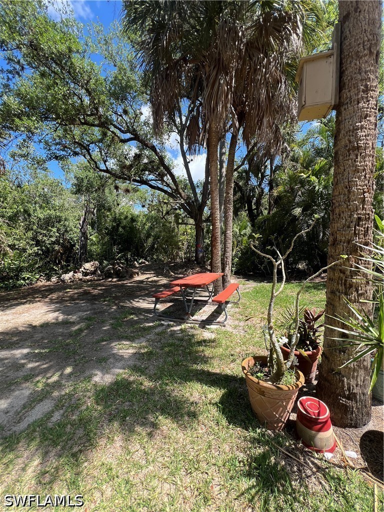 Yard