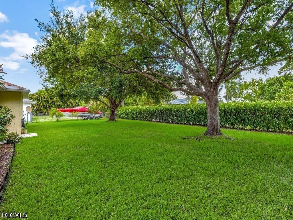 Yard