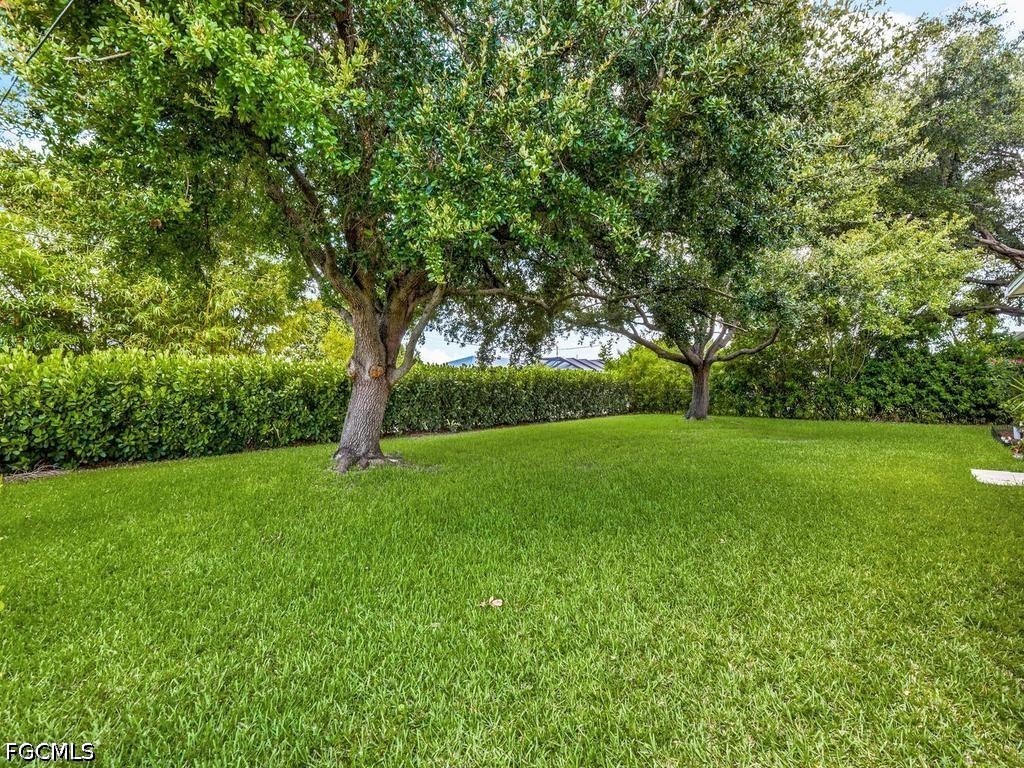 Yard