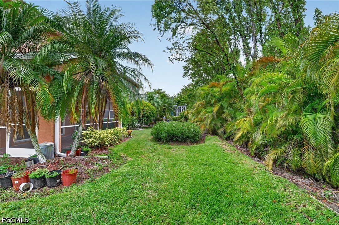 Yard
