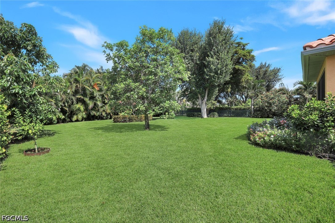 Yard