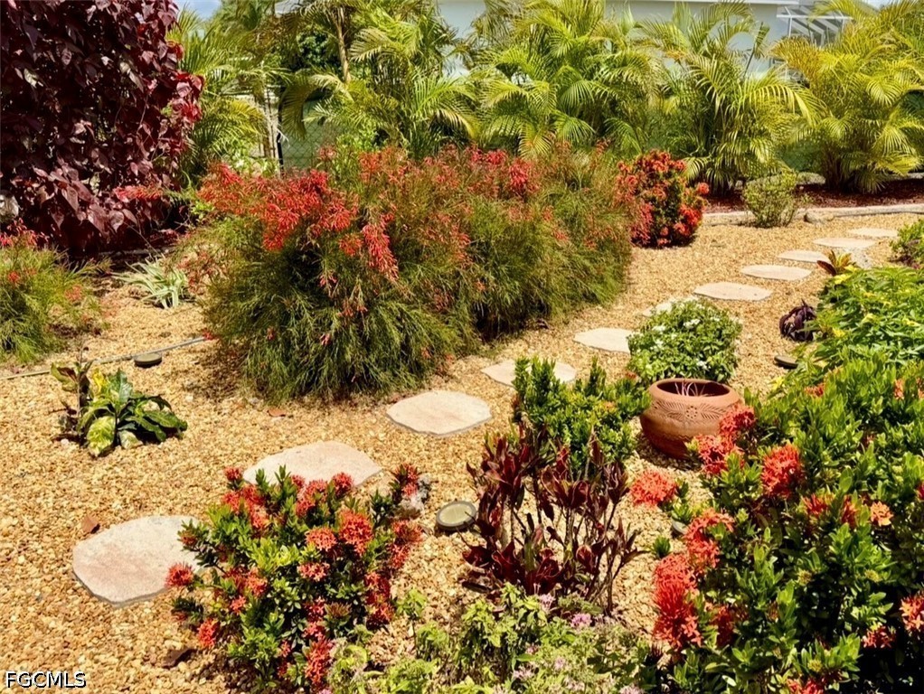 Yard