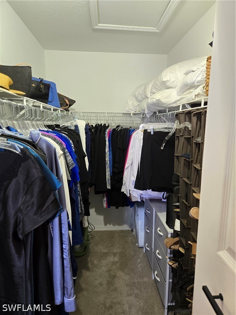 Closet