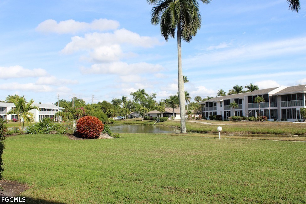 Yard