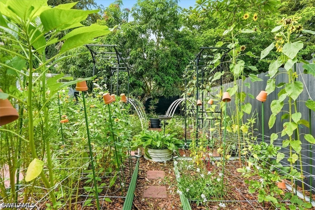 Yard
