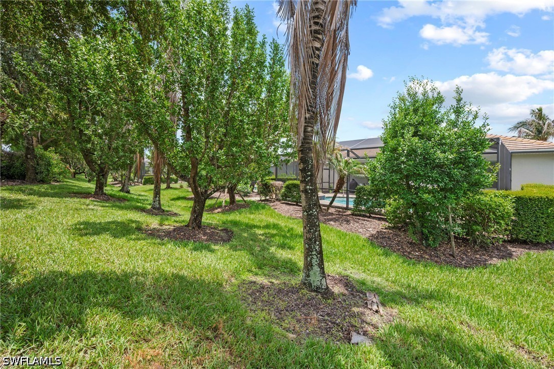 Yard