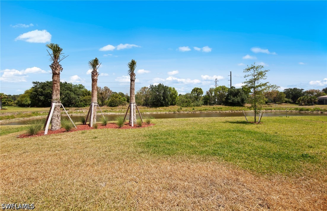 Yard