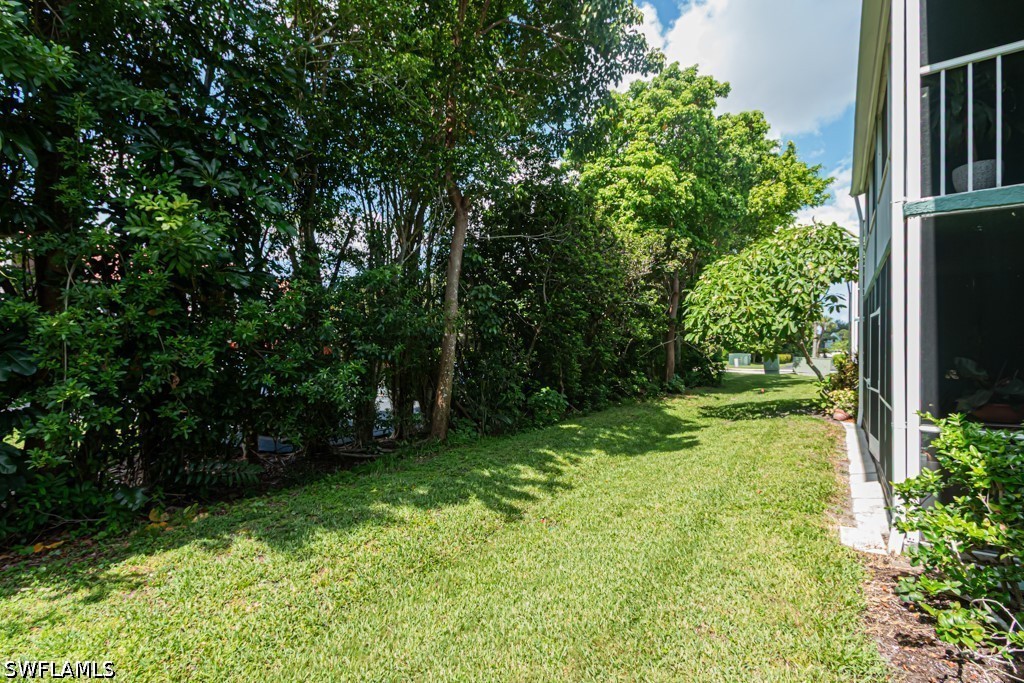 Yard