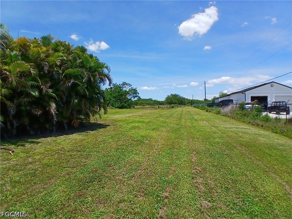 Yard