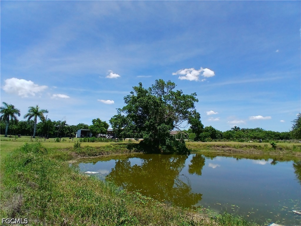 Pond