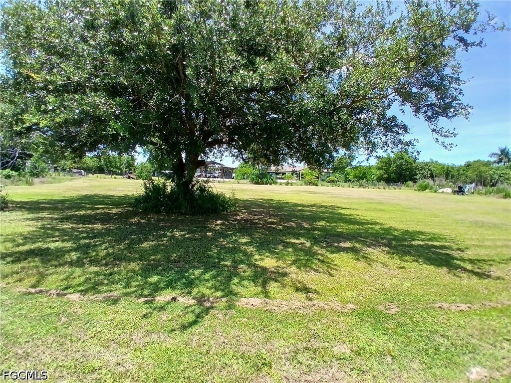Yard