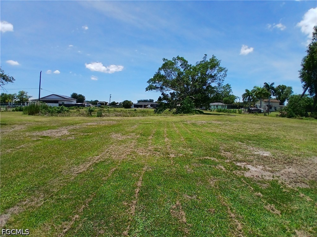 Yard
