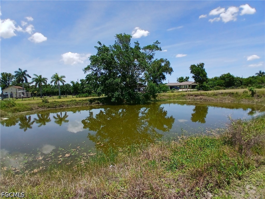 Pond