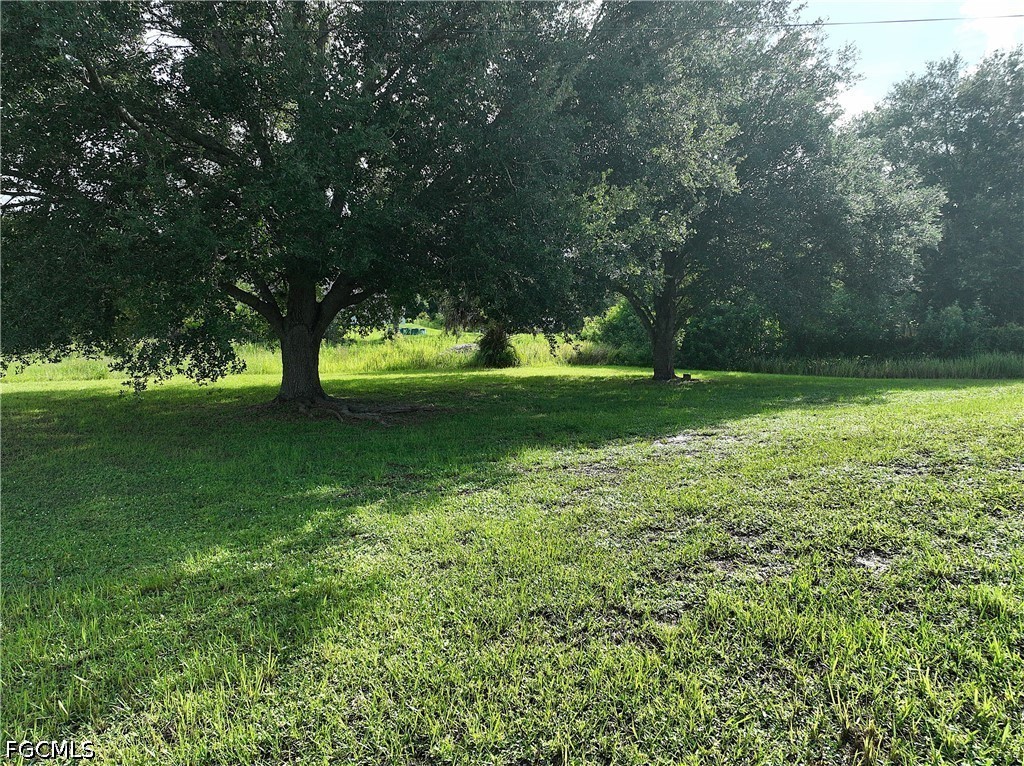 Yard