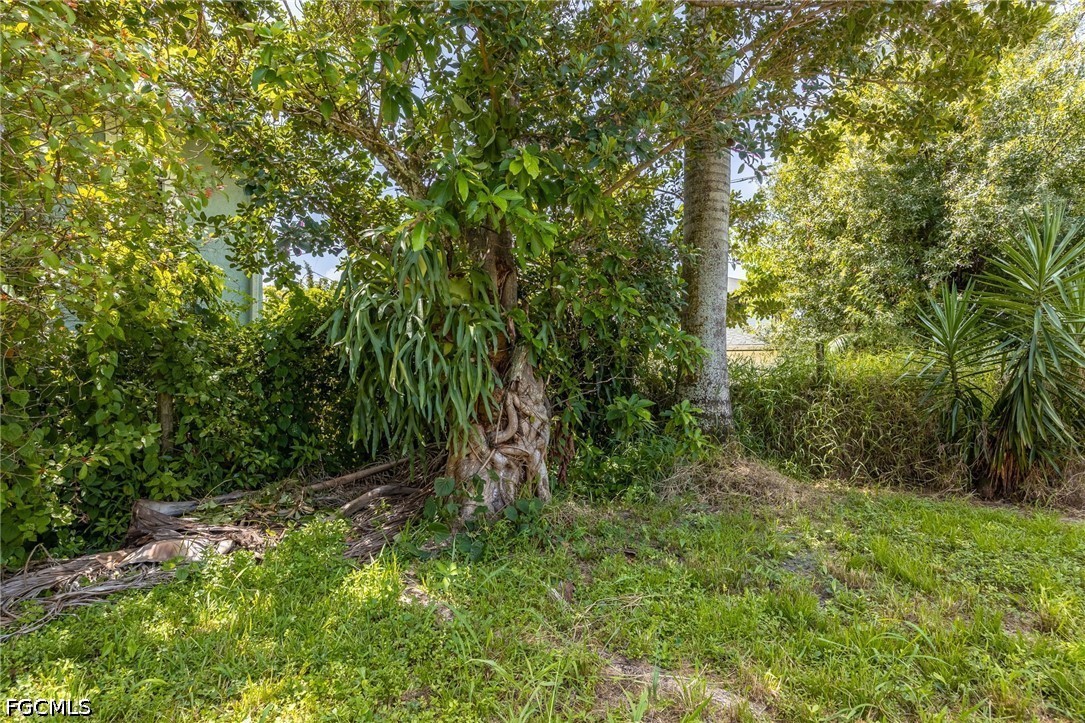 Yard
