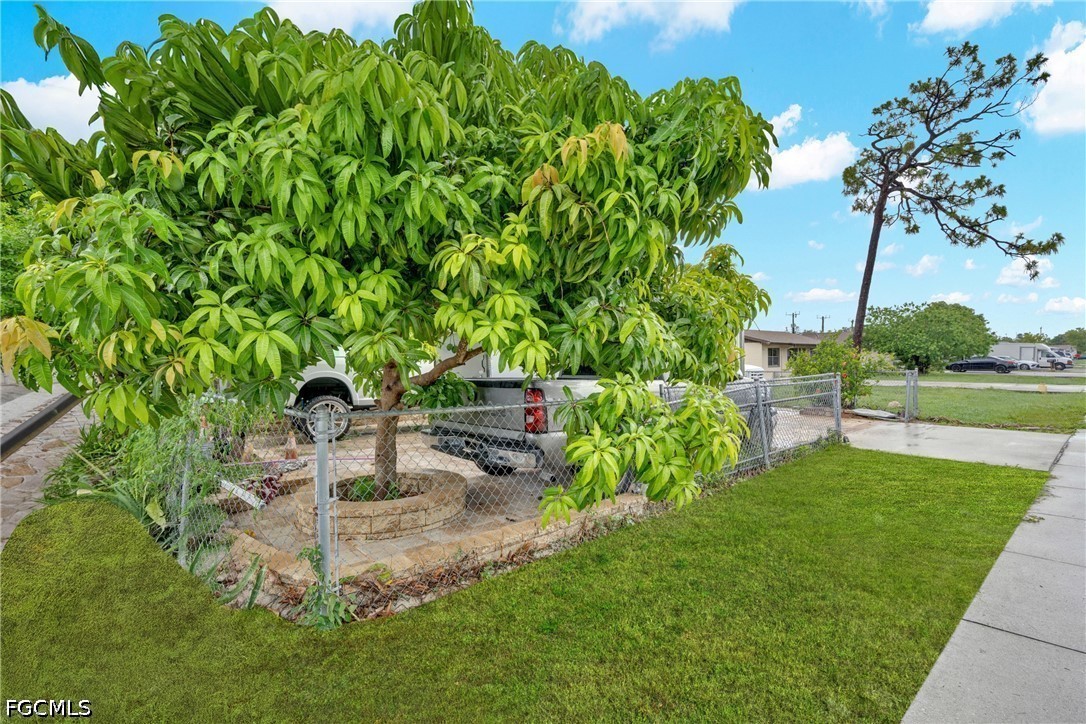 Yard