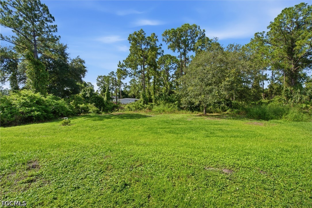 Yard