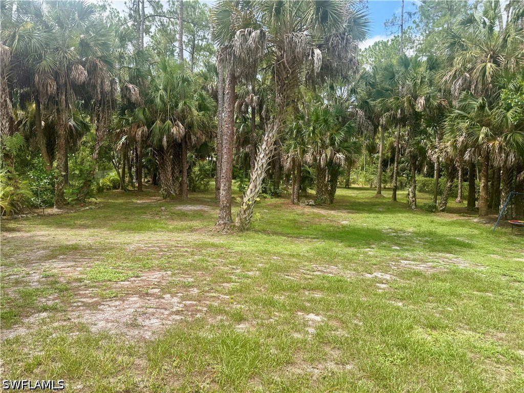 Yard