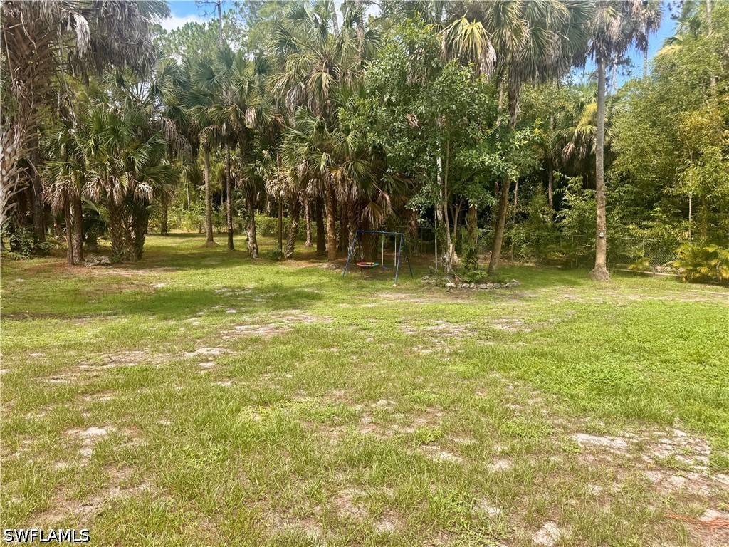Yard