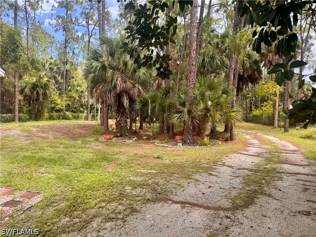 4392 11th, Naples, FL 34116