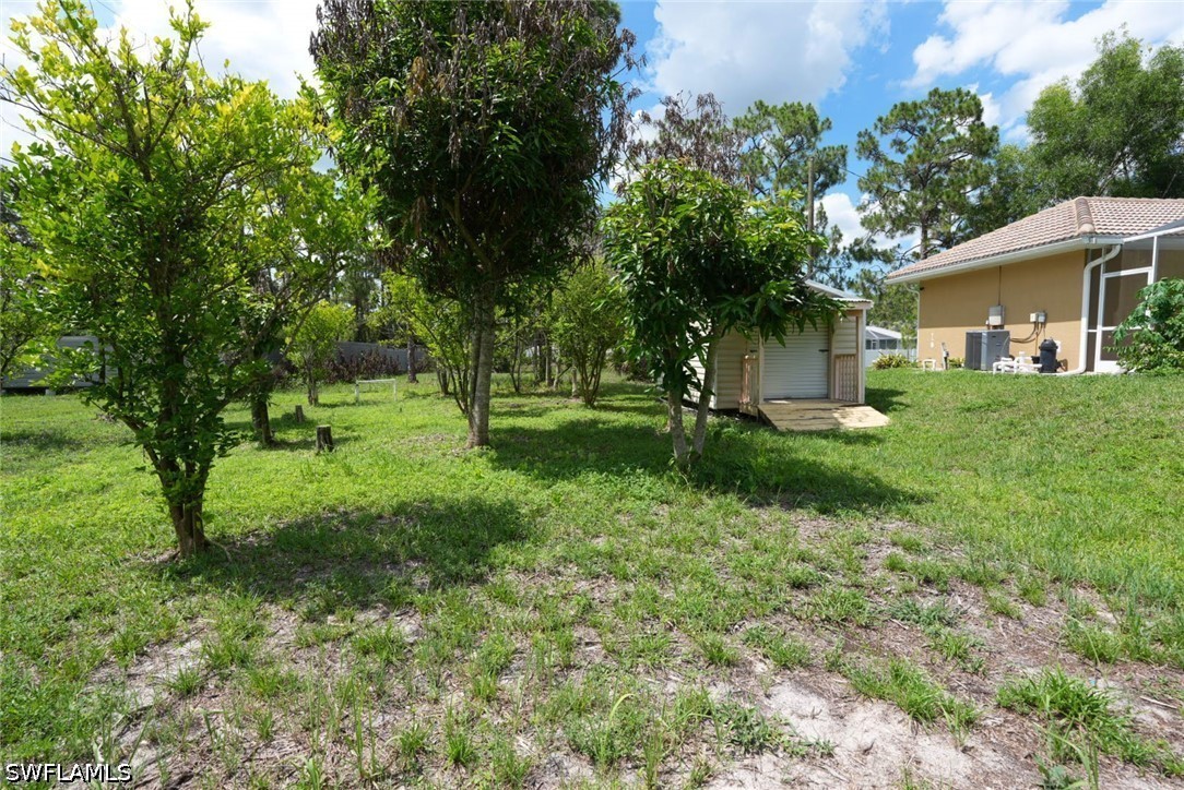 Yard