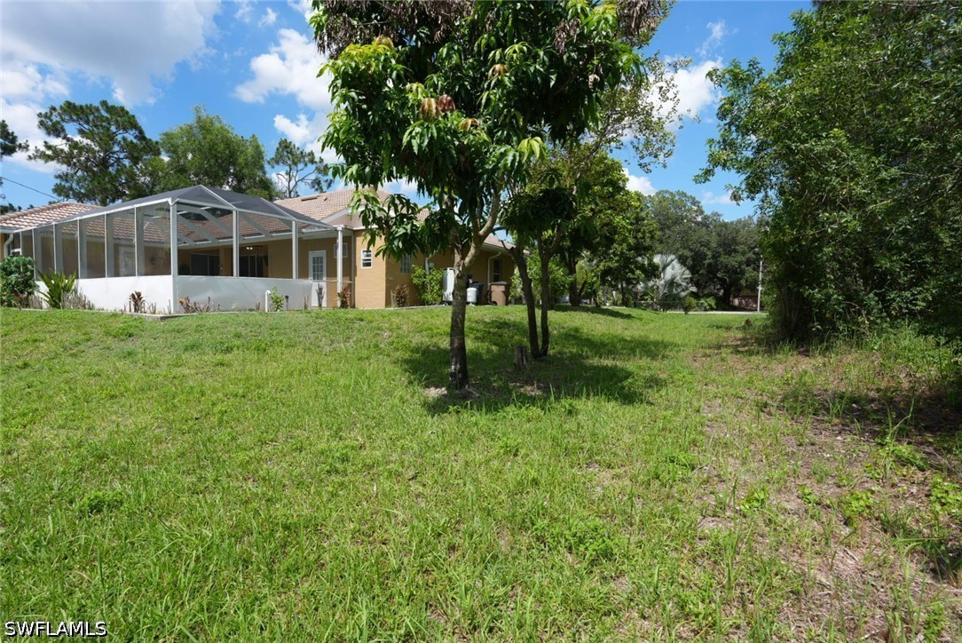 Yard