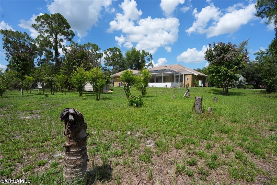 Yard
