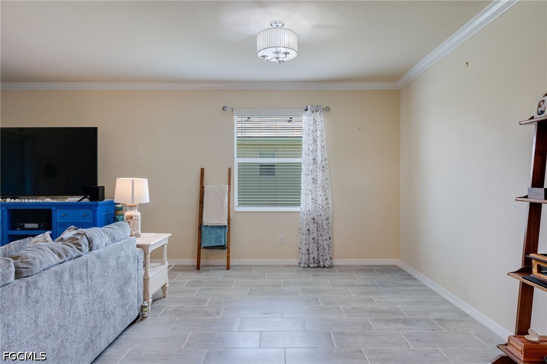 16138 Palmetto Prairie, Alva, FL 33920