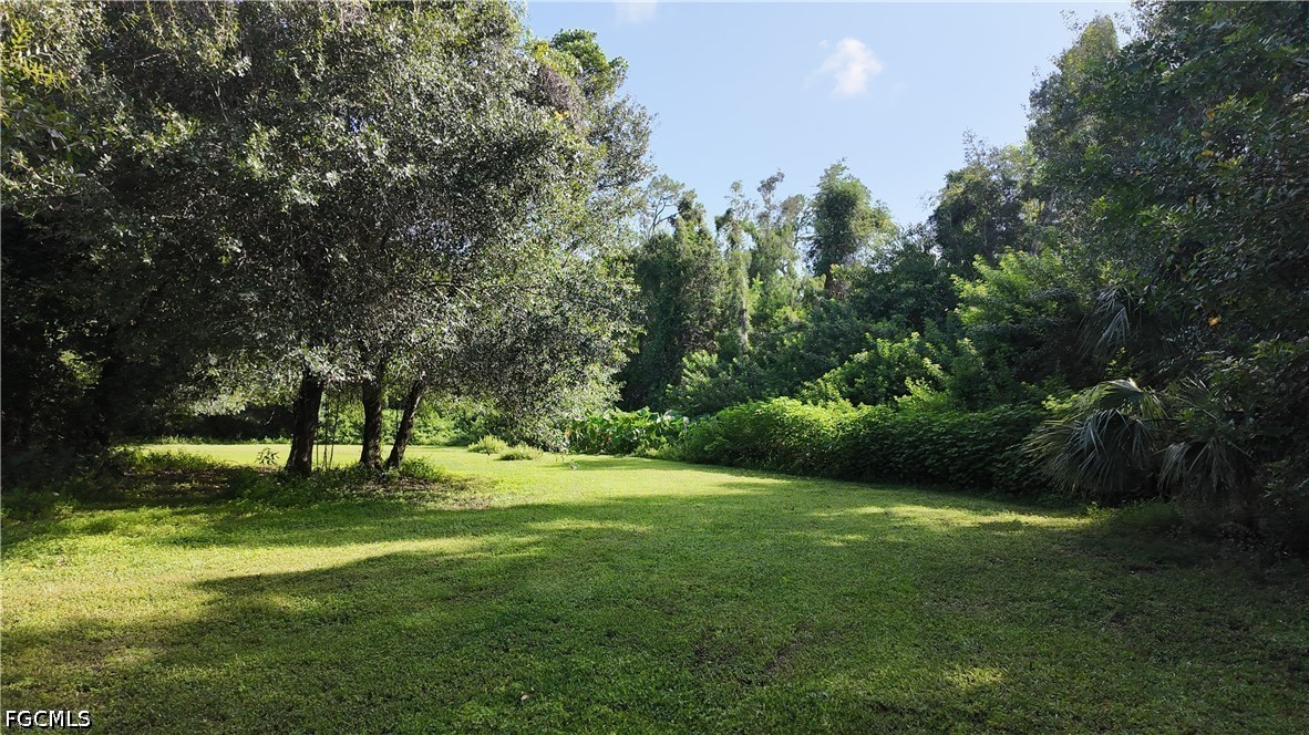 Yard