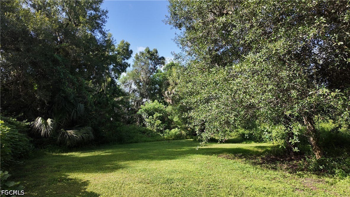 Yard