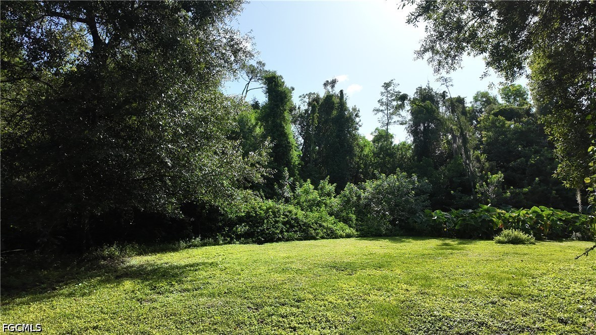 Yard