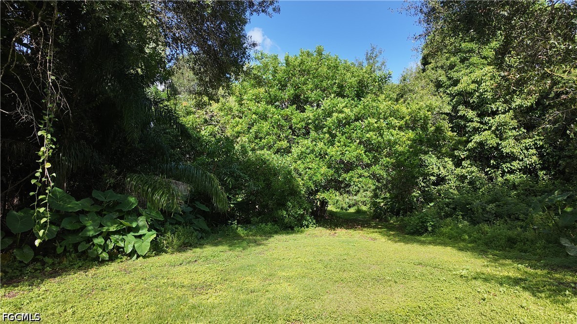 Yard