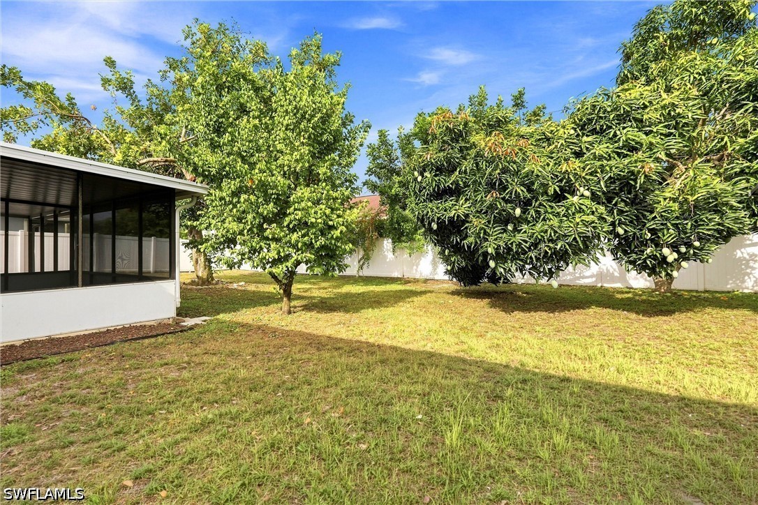 Yard