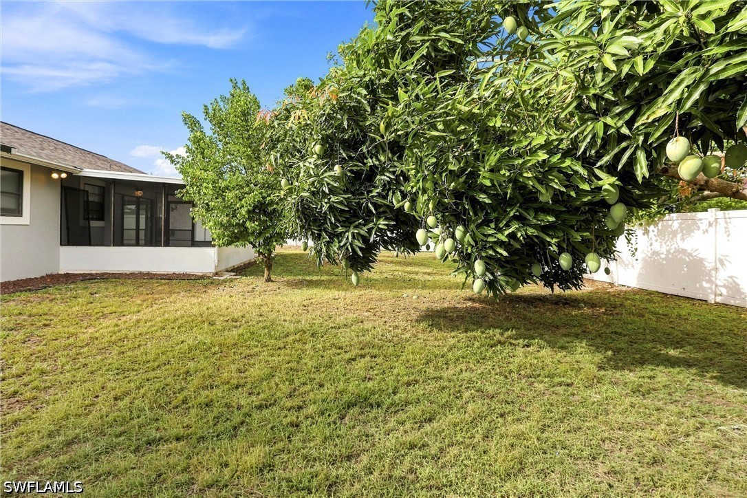Yard