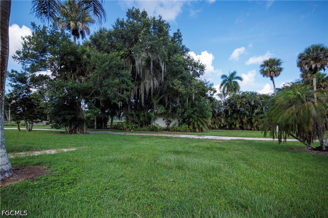 Yard