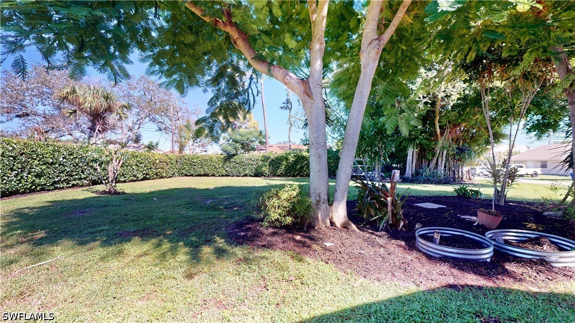 Yard
