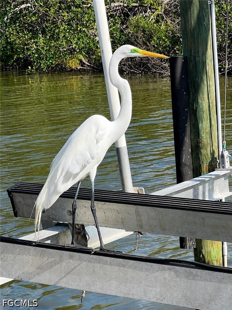 11242 Matlacha, Matlacha, FL 33993