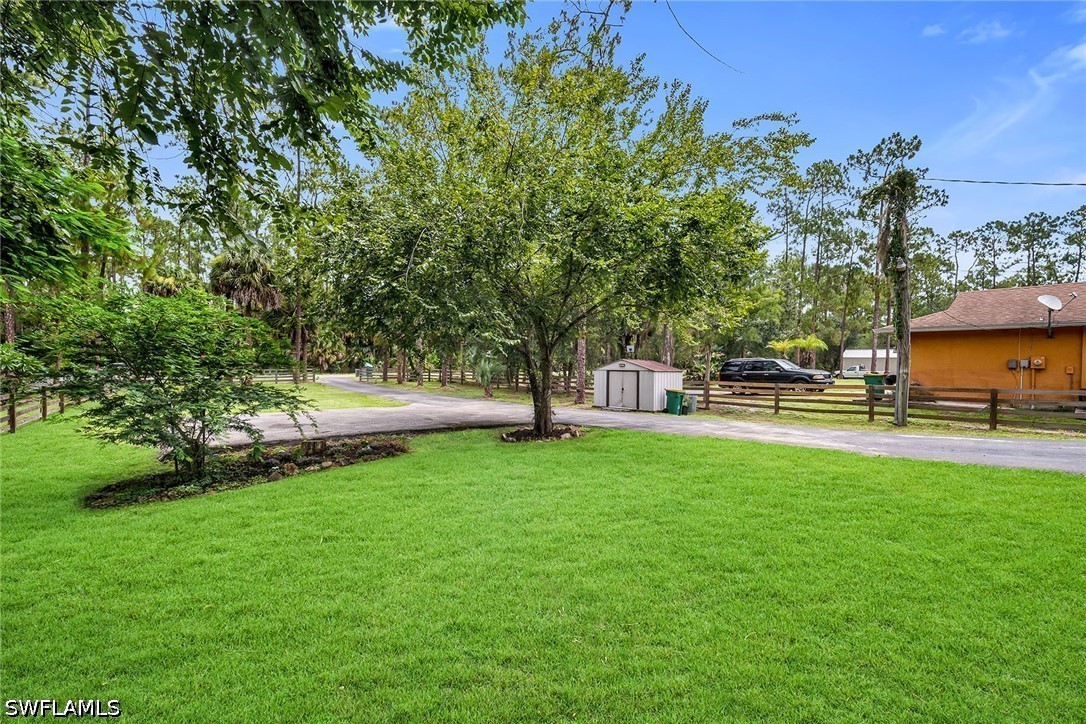Yard
