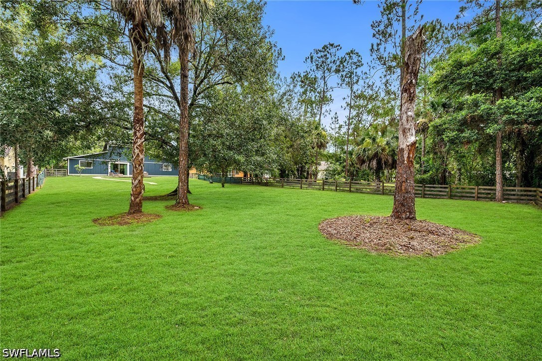 Yard